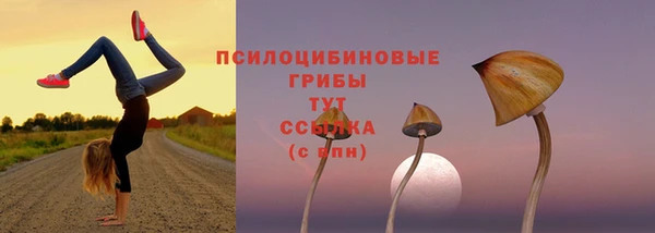 альфа пвп Осташков