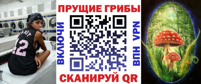 Галлюциногенные грибы Psilocybe  купить  цена  Семикаракорск 